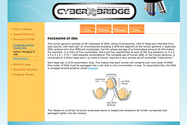 cyberbridge learning module web site